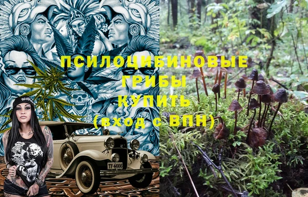 мдпв Няндома