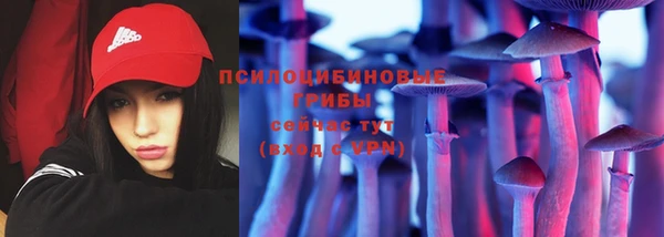 хмурый Нягань