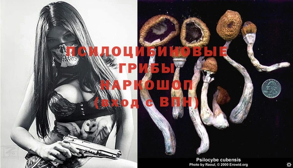 мдпв Няндома