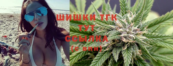 мдпв Няндома