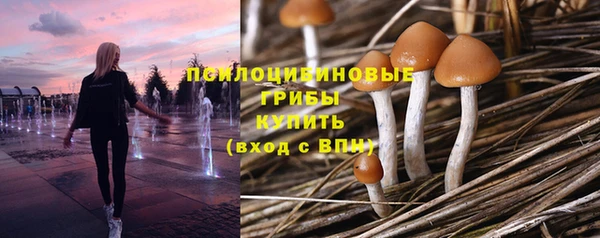 хмурый Нягань