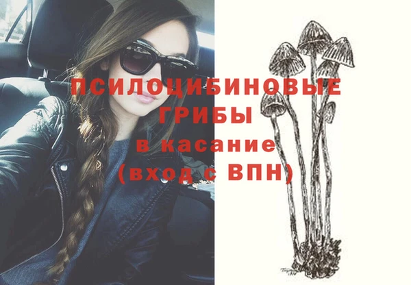 мдпв Няндома