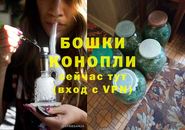 мдпв Няндома