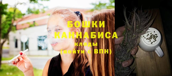 мдпв Няндома