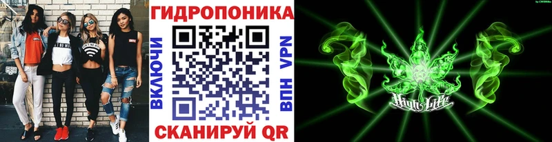 Канабис ГИДРОПОН  Купить  Щигры 